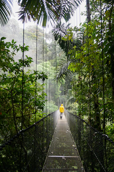 person in yellow jacket standing on hanging bridge