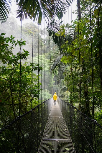 person in yellow jacket standing on hanging bridge