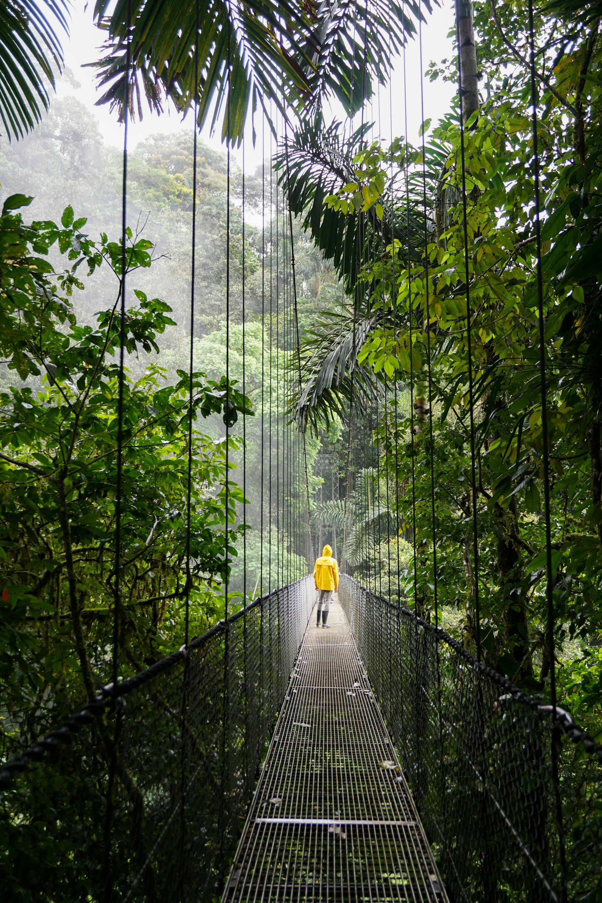 person in yellow jacket standing on hanging bridge