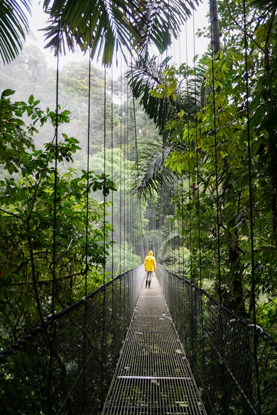 person in yellow jacket standing on hanging bridge in La Fortuna Costa Rica