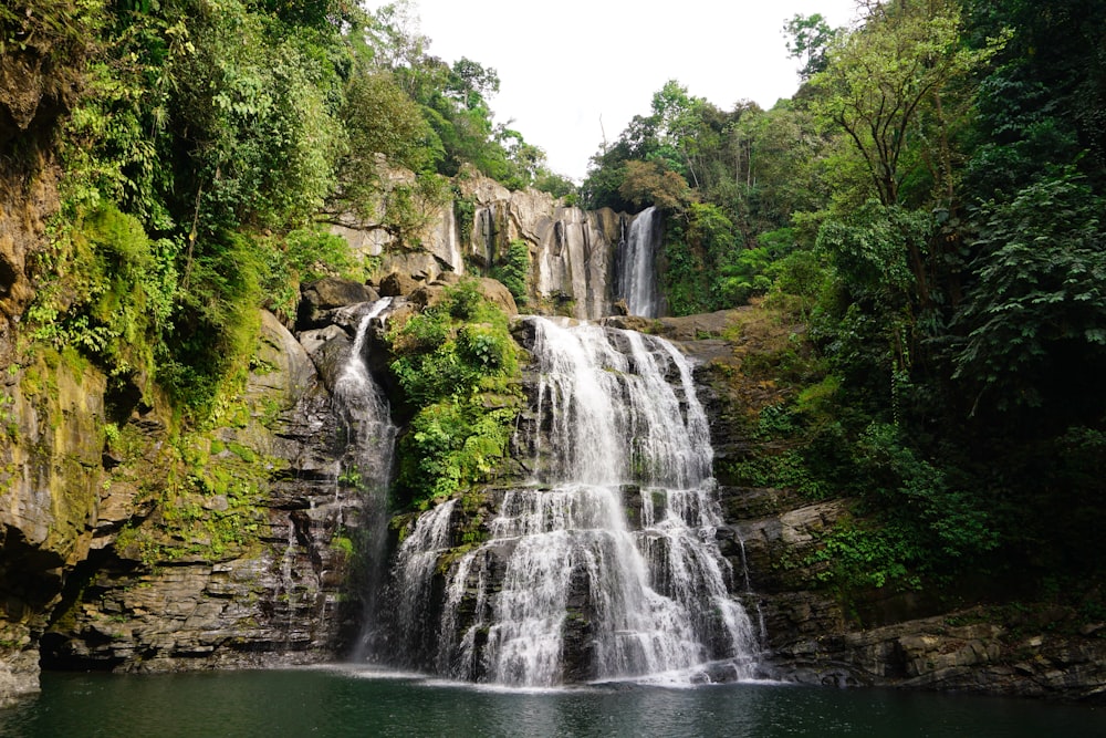 waterfalls in the middle of the forest during daytime