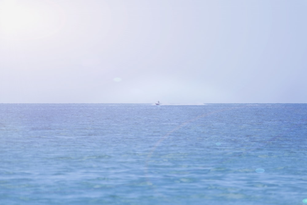 white boat on sea during daytime