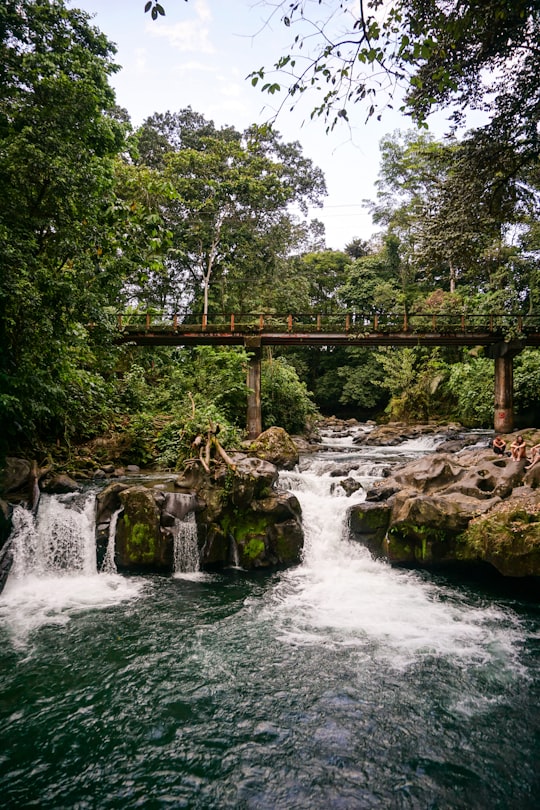 brown wooden bridge over river in La Fortuna Costa Rica