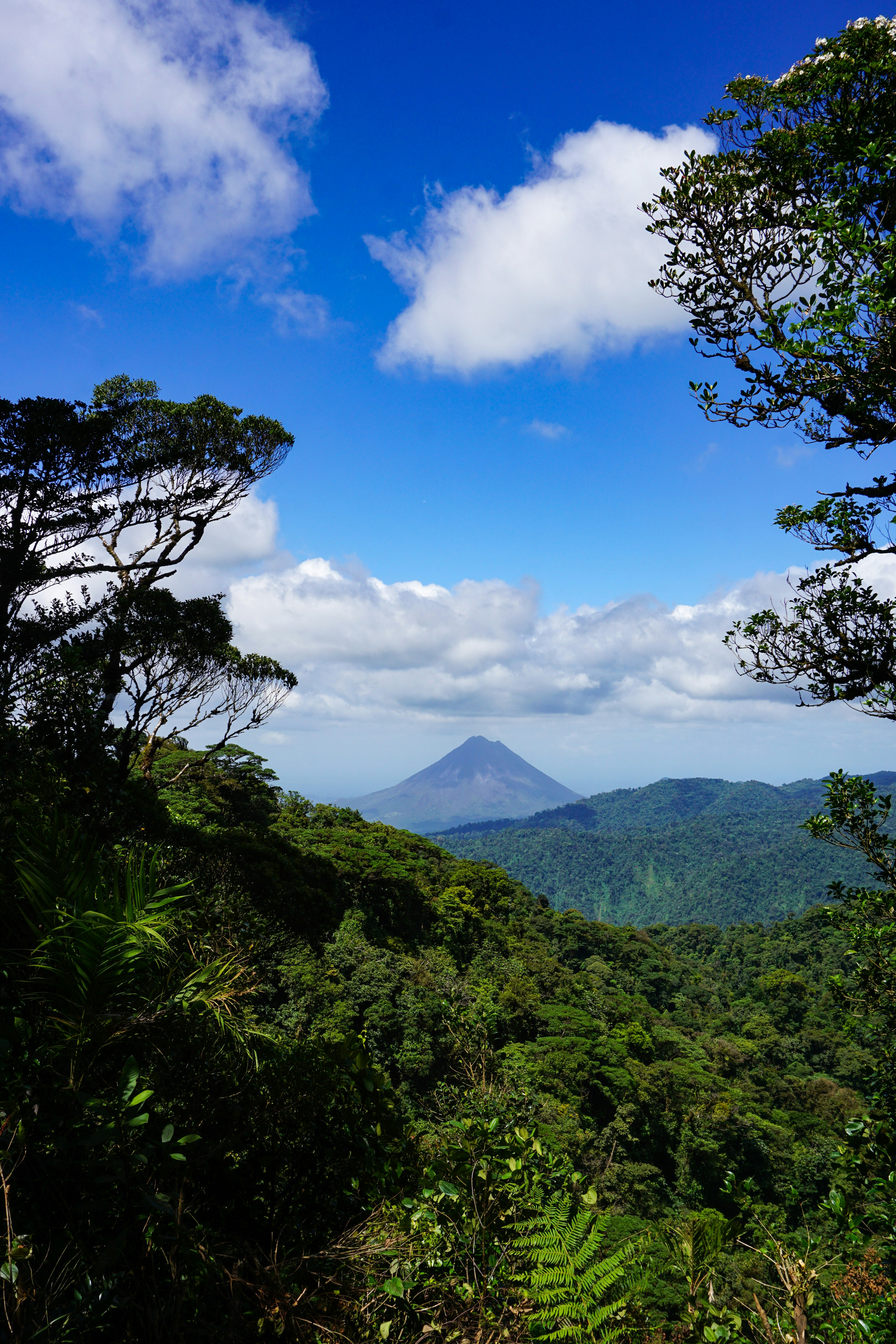 A misty morning view of Arenal Volcano framed by lush tropical rainforest.