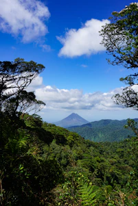A vibrant trail winding through lush Ecuadorian jungle with a distant silhouette of a volcano under a bright sky.