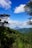 A scenic view of the Concepción volcano surrounded by lush greenery and a clear blue sky.