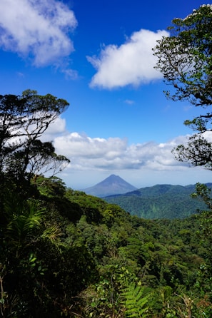 A breathtaking view of Arenal Volcano with lush green rainforest in the foreground.