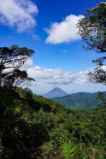 A vibrant trail winding through lush Ecuadorian jungle with a distant silhouette of a volcano under a bright sky.