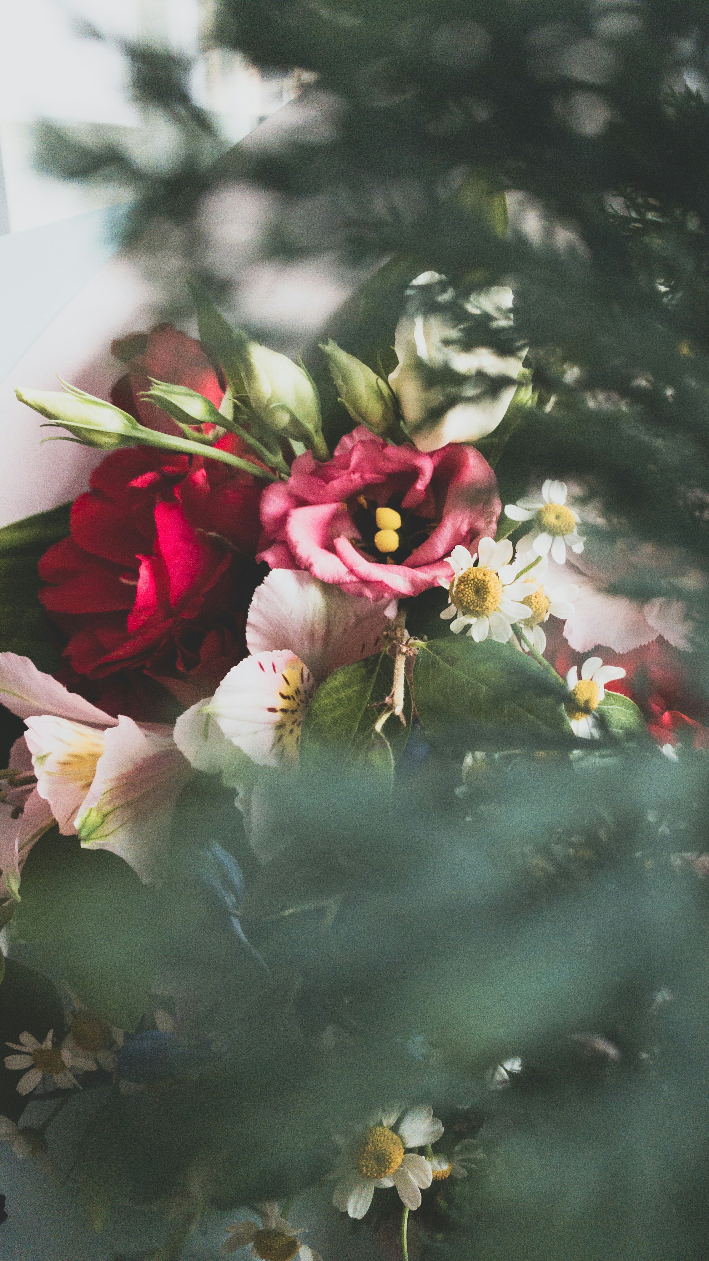 Photo by tsariovaanna