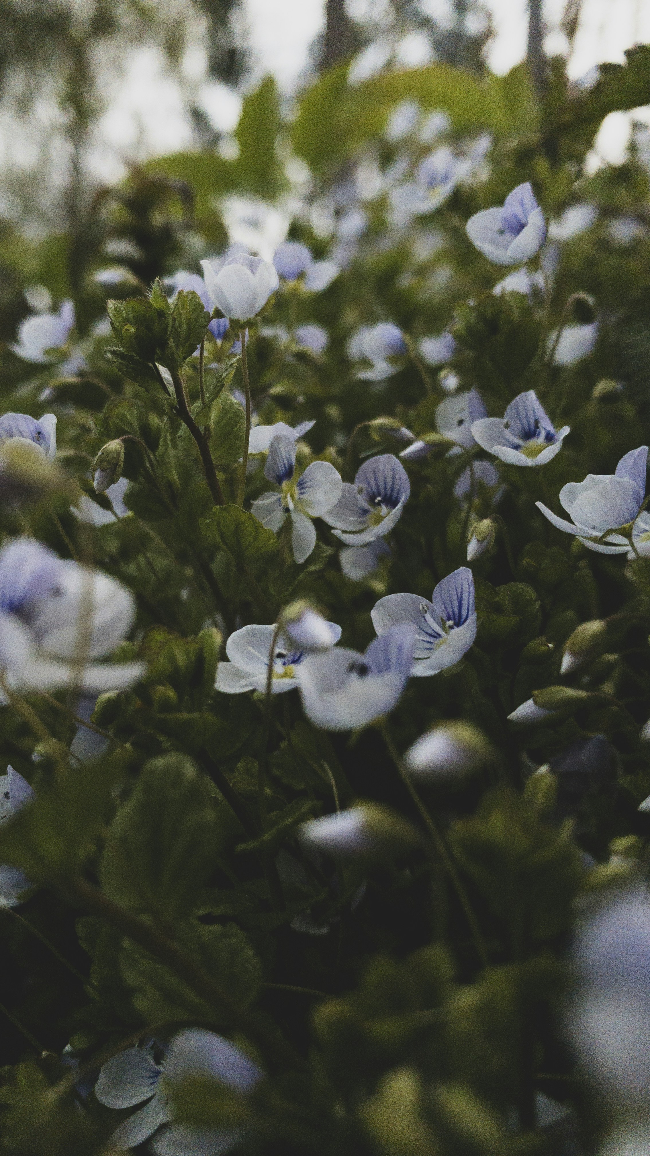 Photo by tsariovaanna