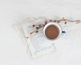 A rustic setting with an old book and a cup of coffee placed on a white surface. The book appears to have aged pages, and a sprig with small, round, red and orange berries rests on top, adding a touch of nature.