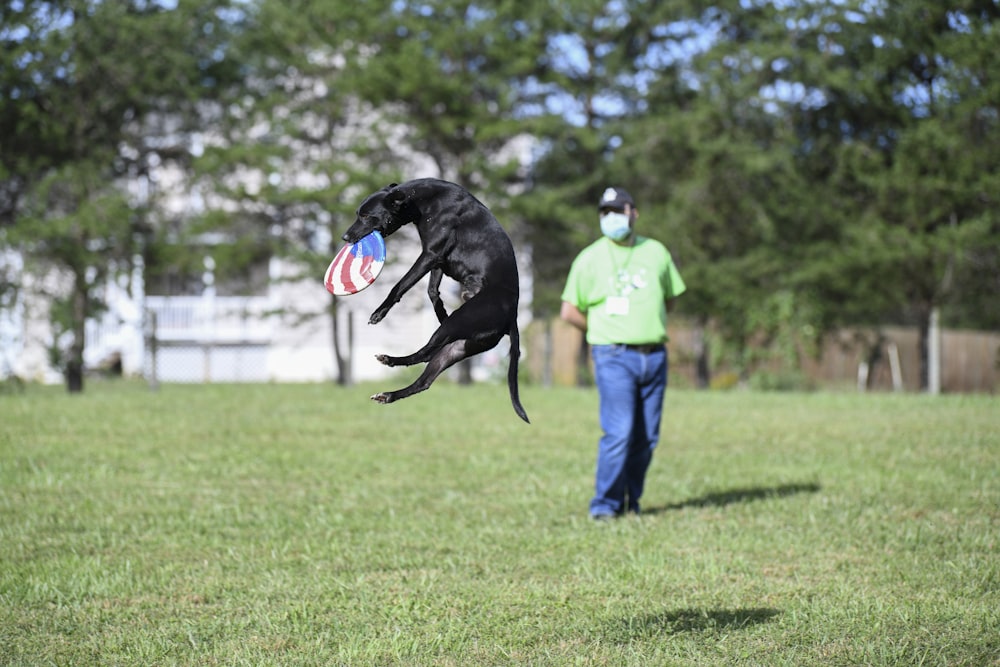 Hombre con chaqueta azul y jeans de mezclilla azul sosteniendo perro negro de pelaje corto