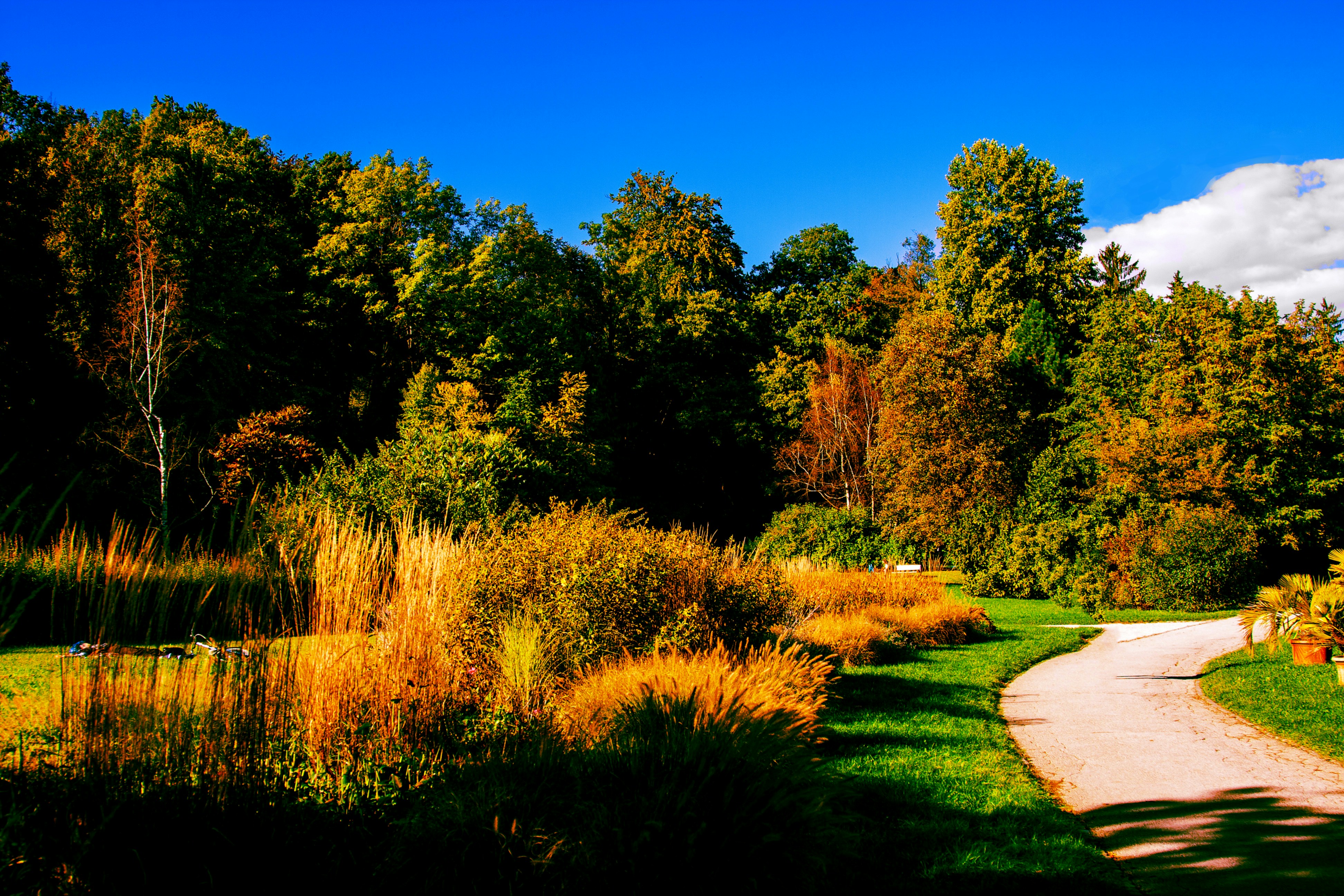 Photo by eugene_kuznetsov