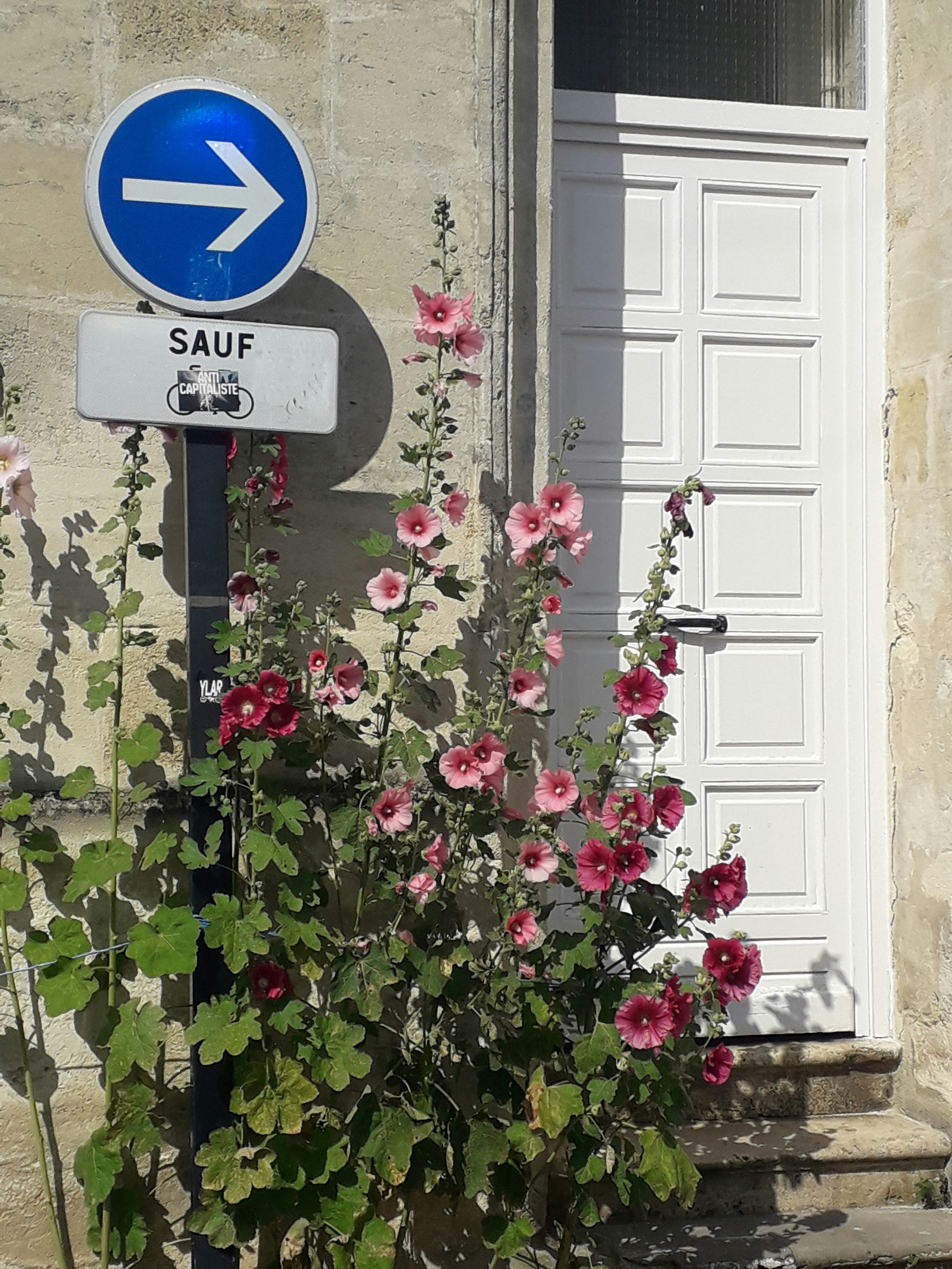 Letrero azul y blanco de prohibido fumar