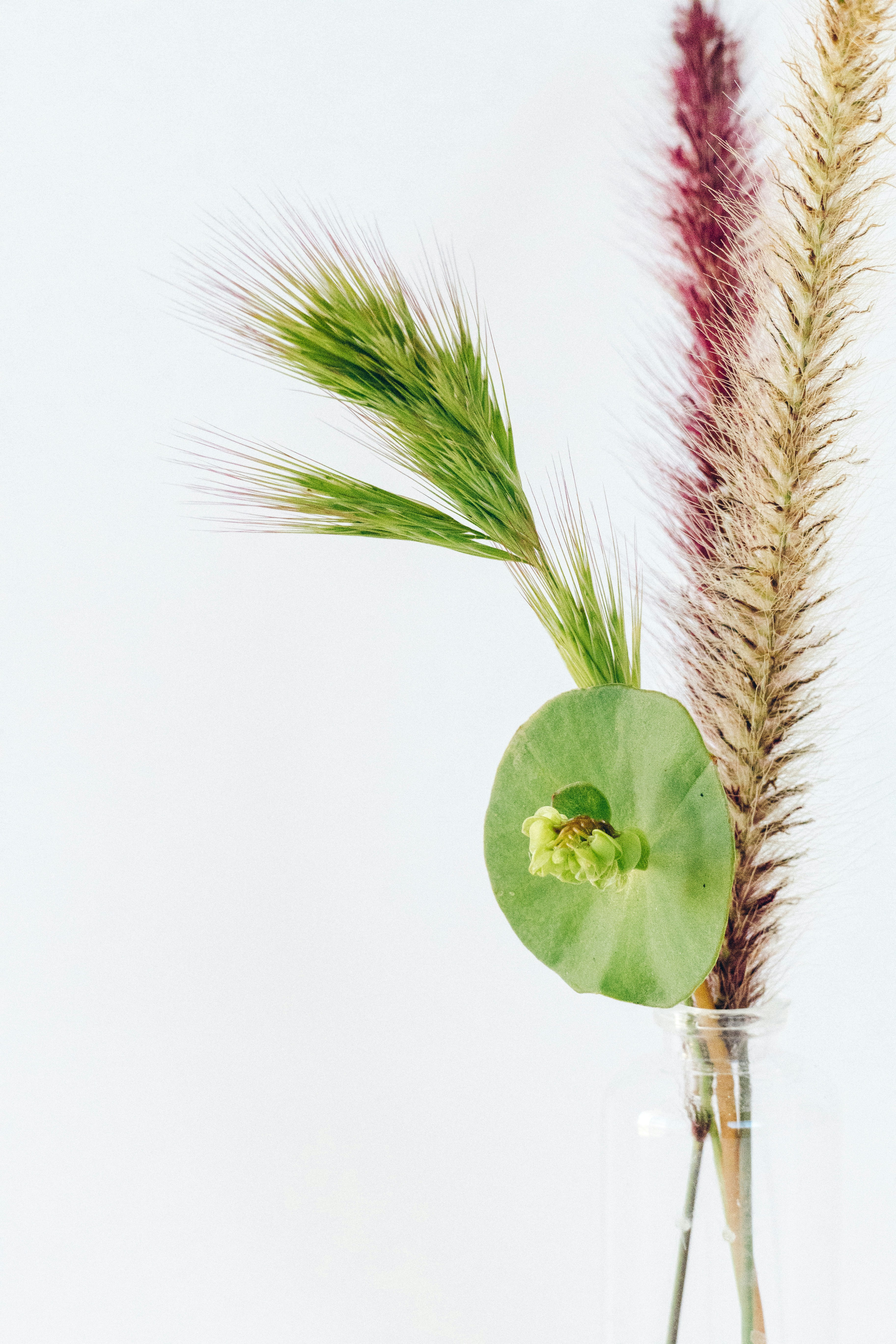 Arranjos de Rosas Elegantes