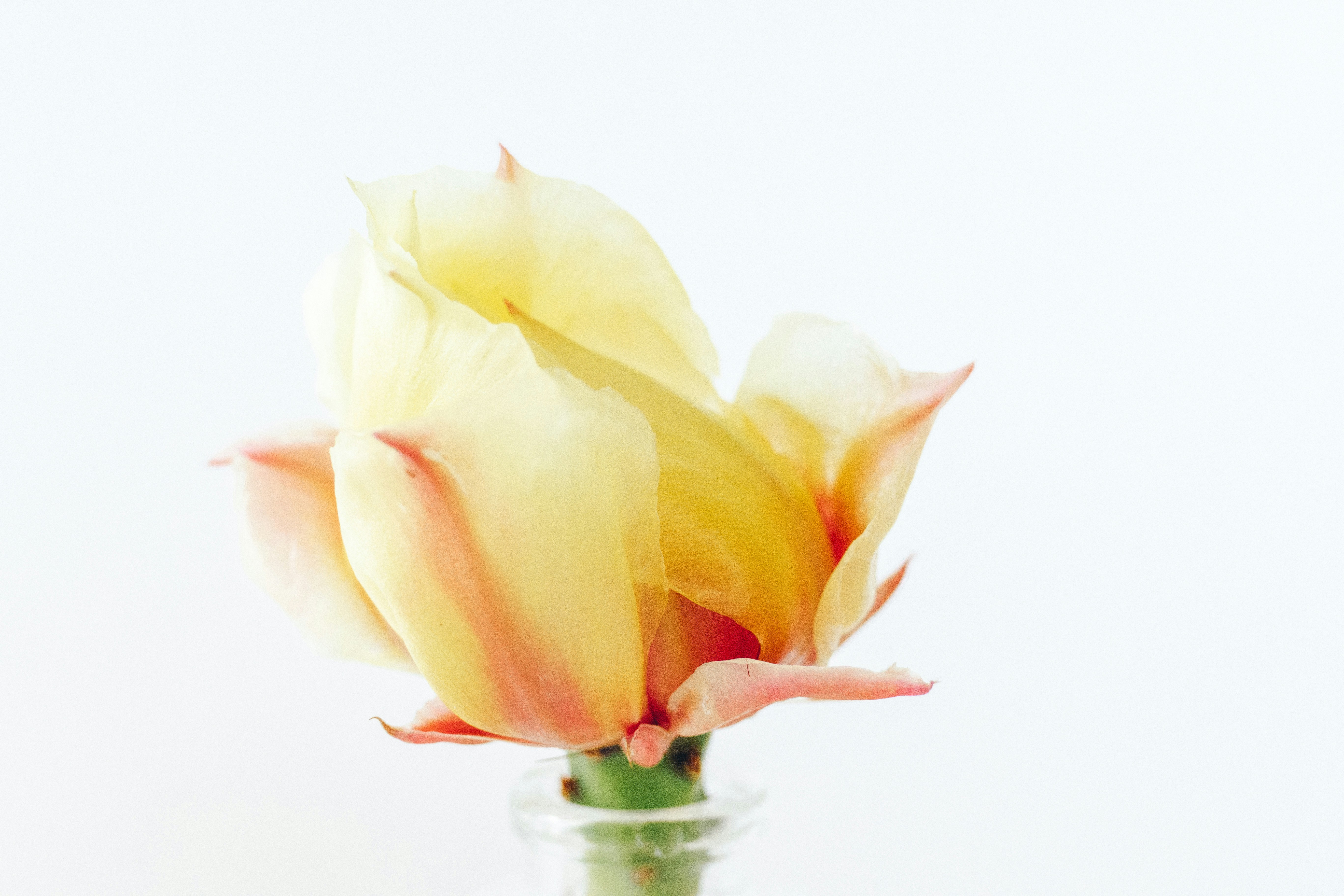 Placeholder image for PRODUCT