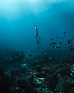 man in black shorts diving on water