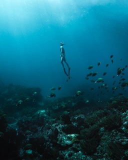 A diver with snorkel and fins is swimming underwater surrounded by a school of small fish. The scene is set in a vast, open ocean environment with visible coral formations at the bottom. Sunlight filters down through the water, casting a serene glow.