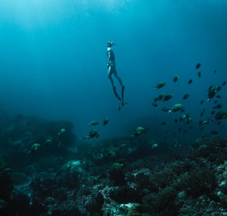 man in black shorts diving on water