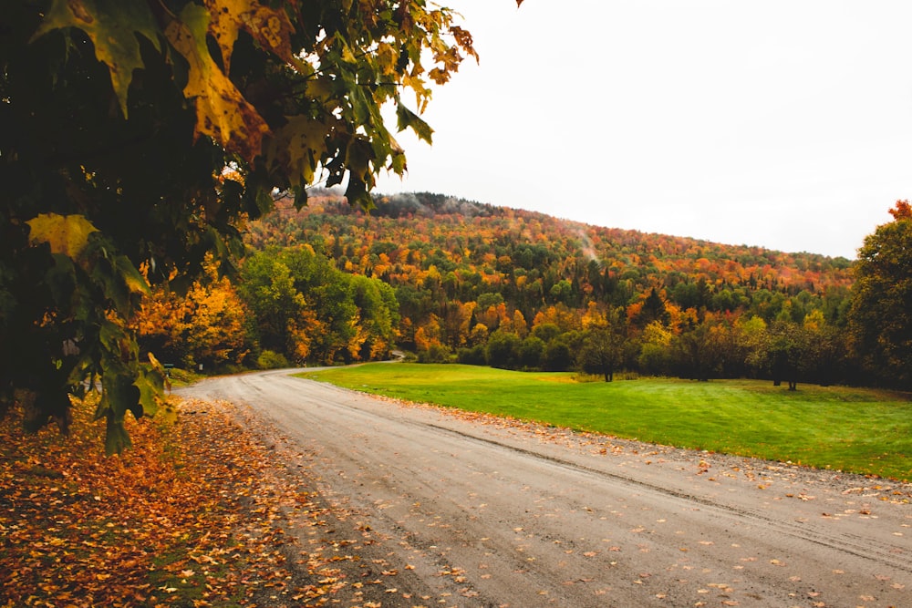 route goudronnée grise entre un champ d’herbe verte pendant la journée