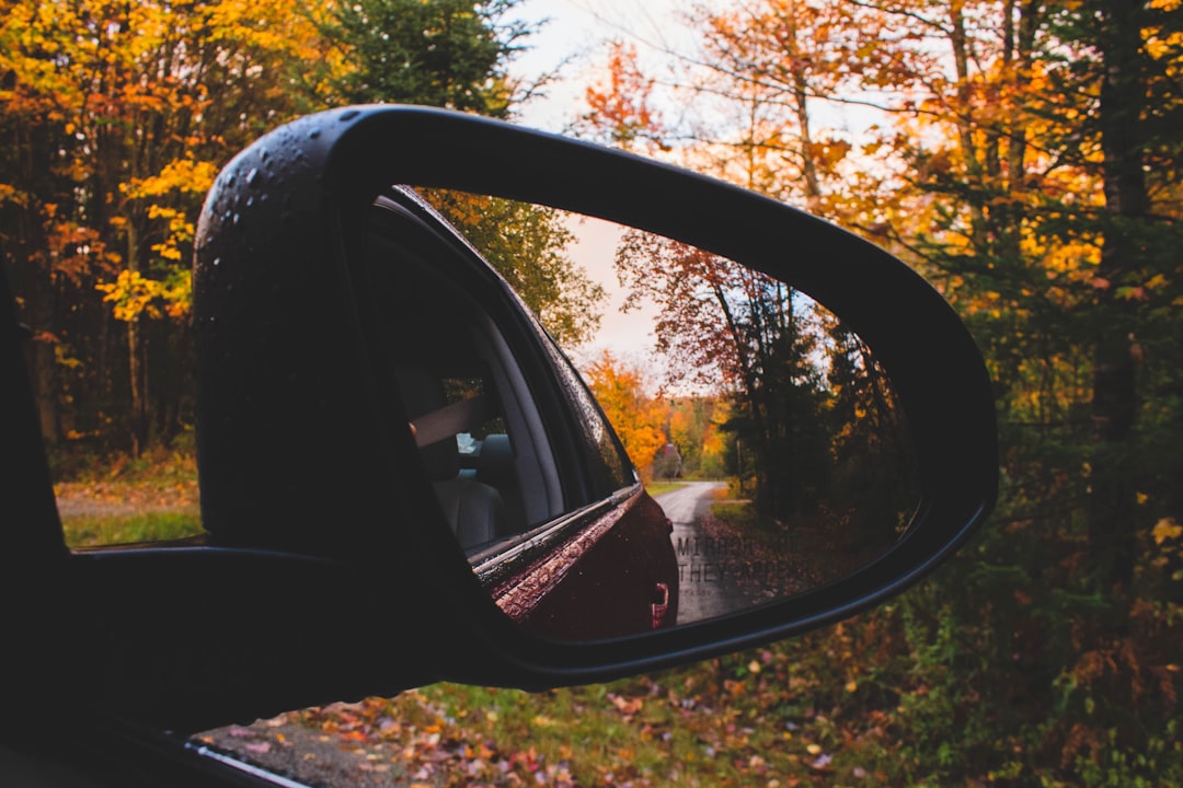 black car side mirror reflecting trees during daytime