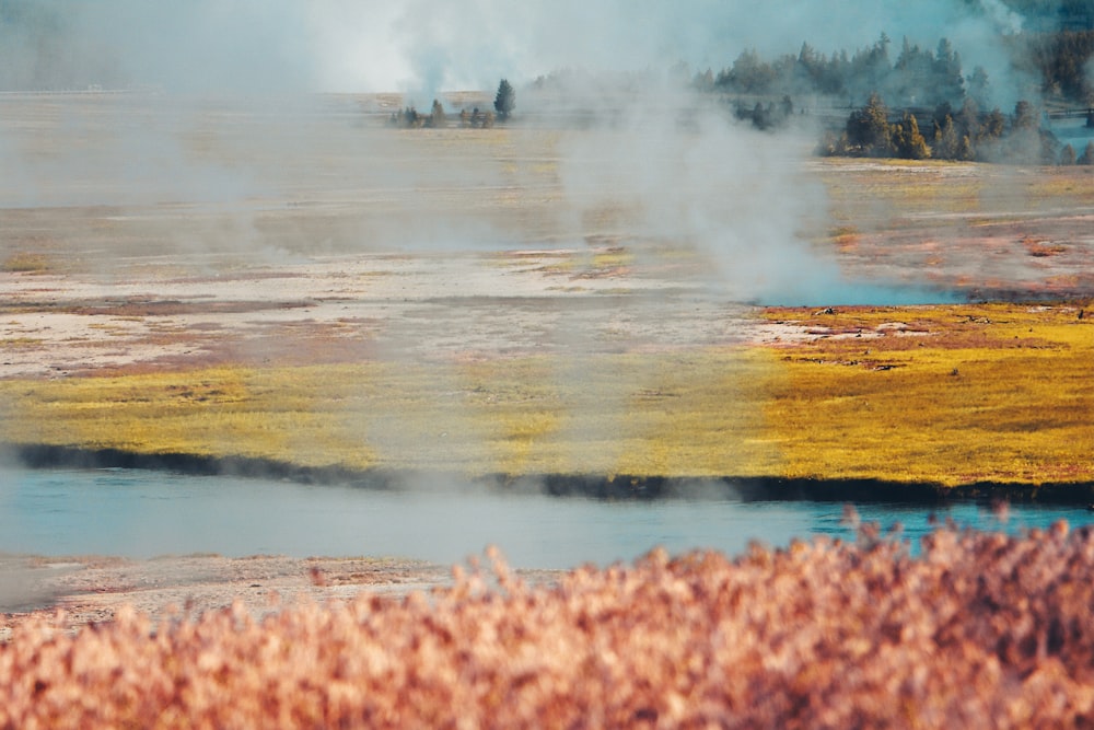 brown field near body of water during daytime