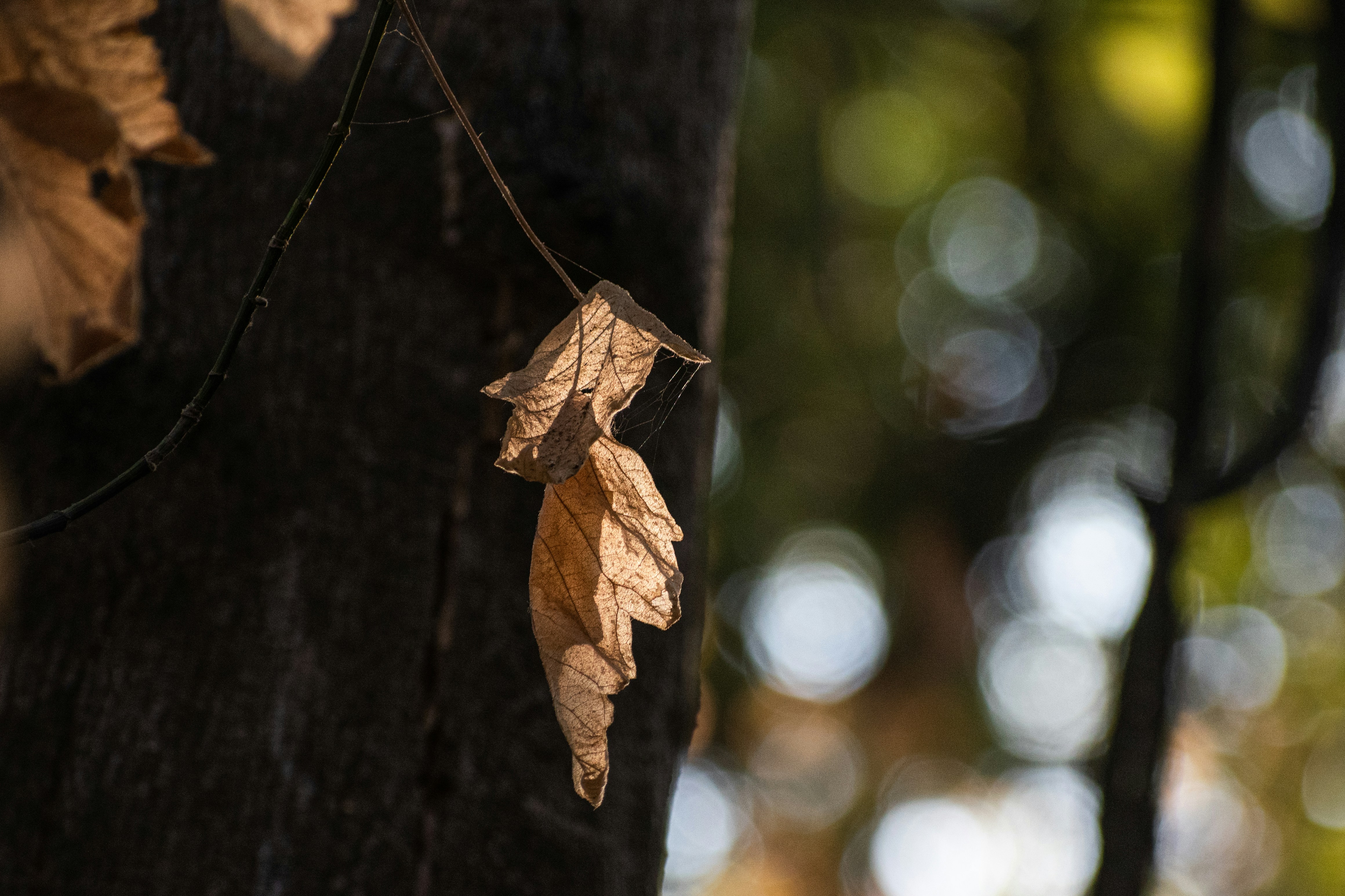 Photo by elisastonephotography