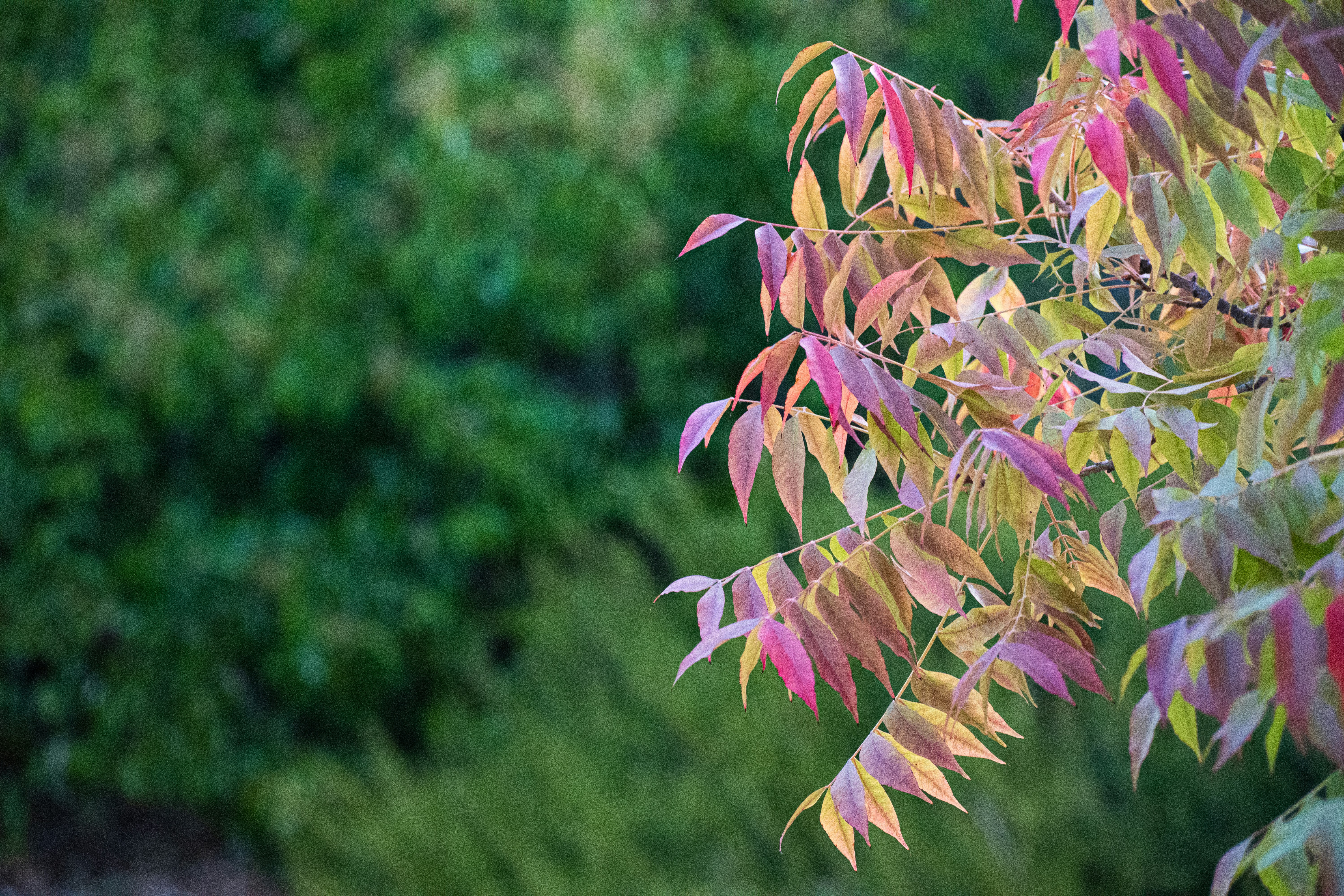 Photo by elisastonephotography