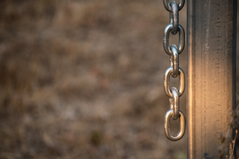 silver chain on brown soil