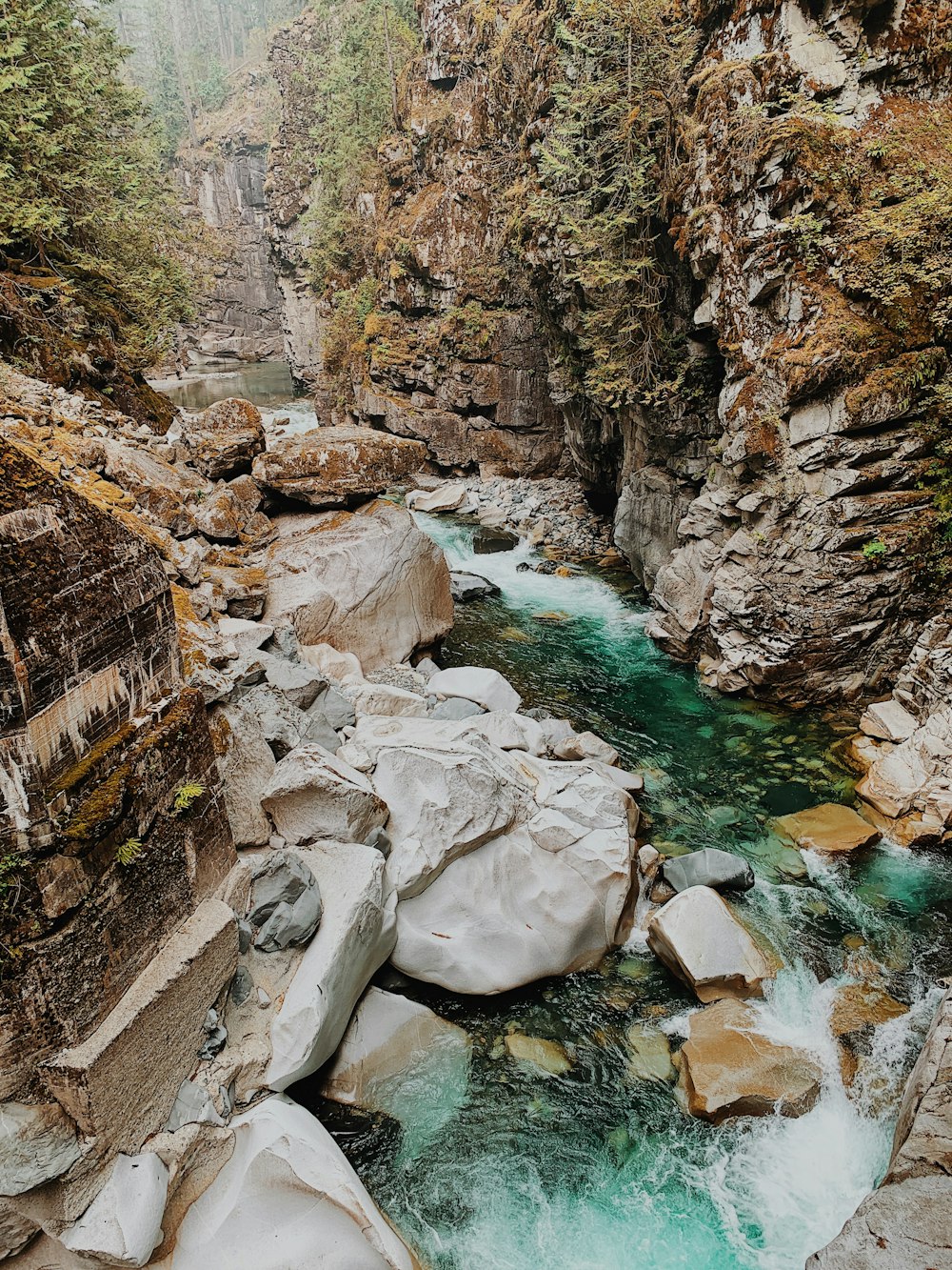 rio entre a montanha rochosa durante o dia