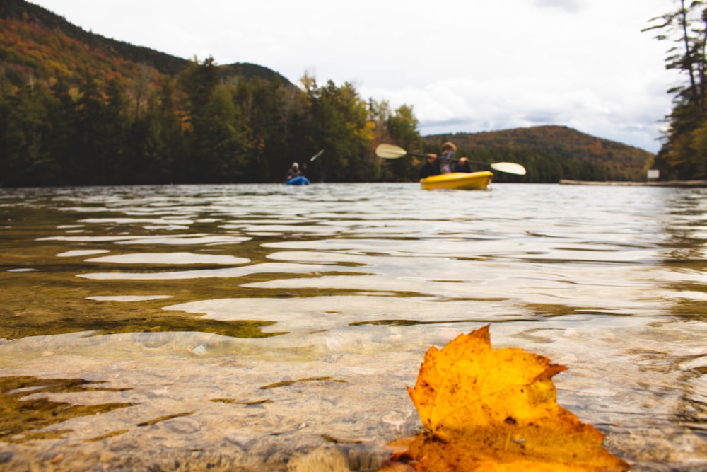 person in blue shirt riding yellow kayak on river during daytime