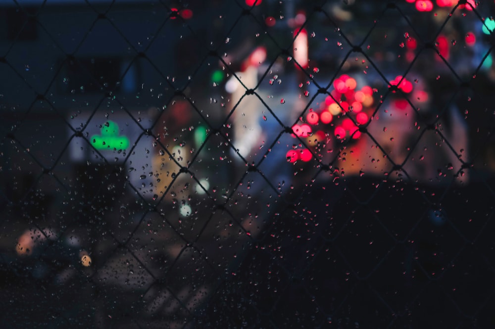 water droplets on black metal fence