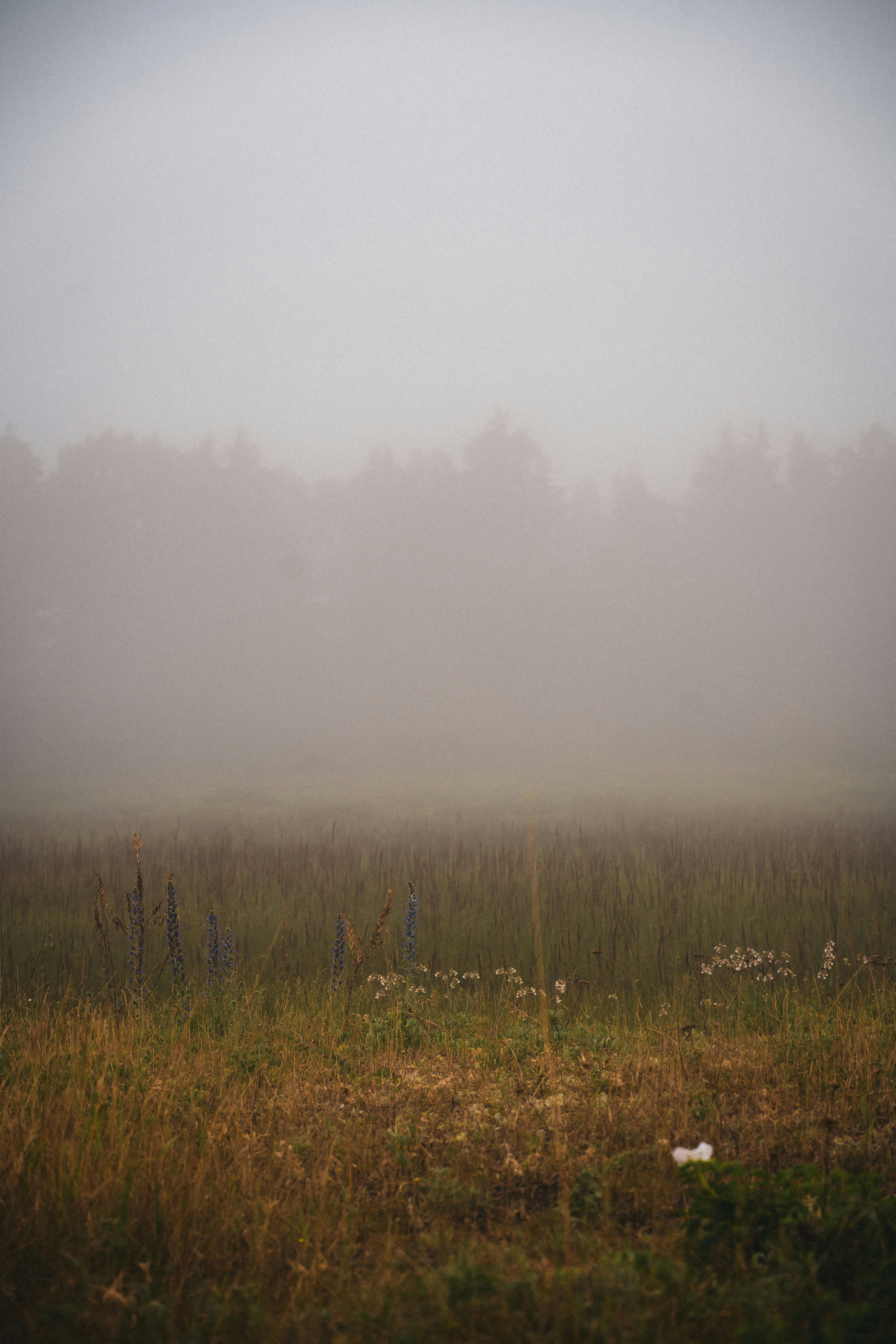 Photo by thomaslrdeau