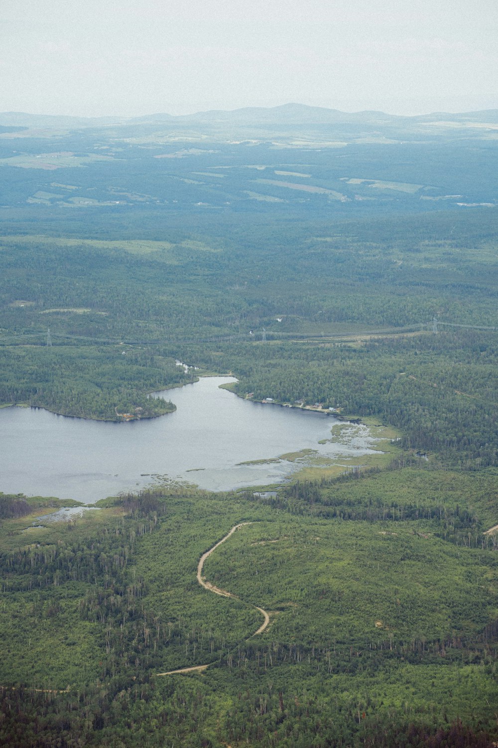 aerial view of green trees and lake during daytime