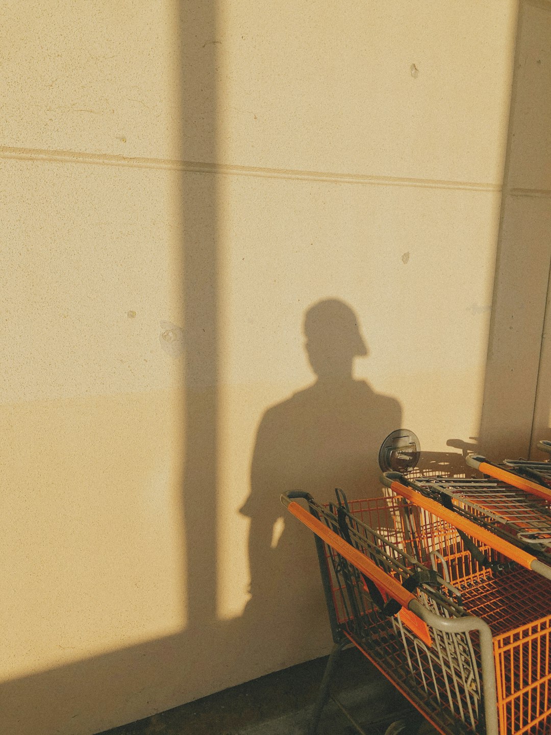 person in gray shirt standing beside shopping cart