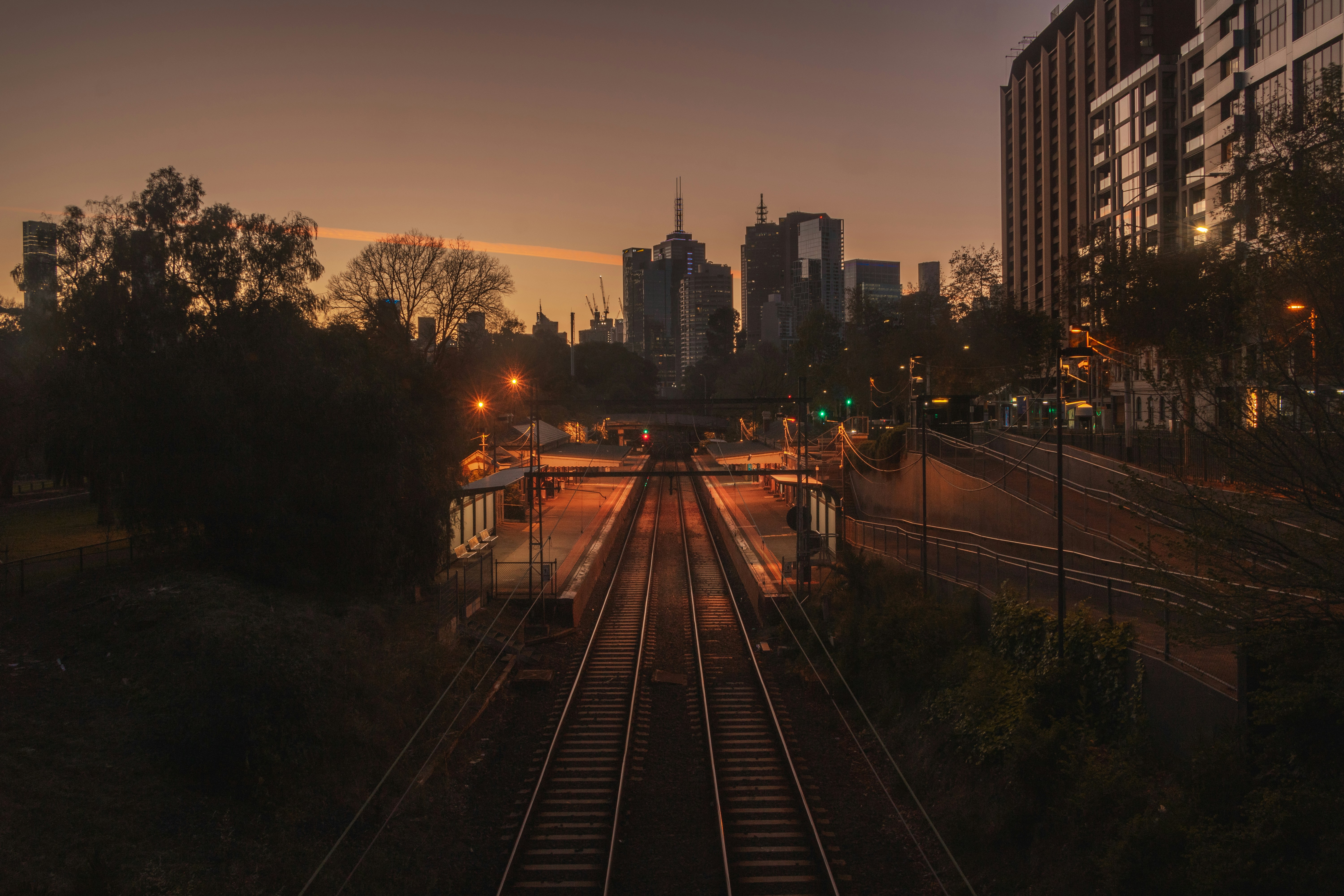Photo by gallocody