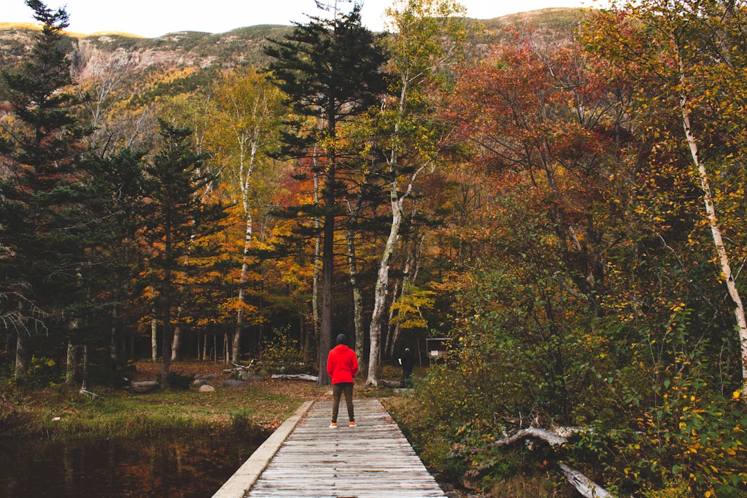person in red hoodie walking on wooden pathway surrounded by trees during daytime