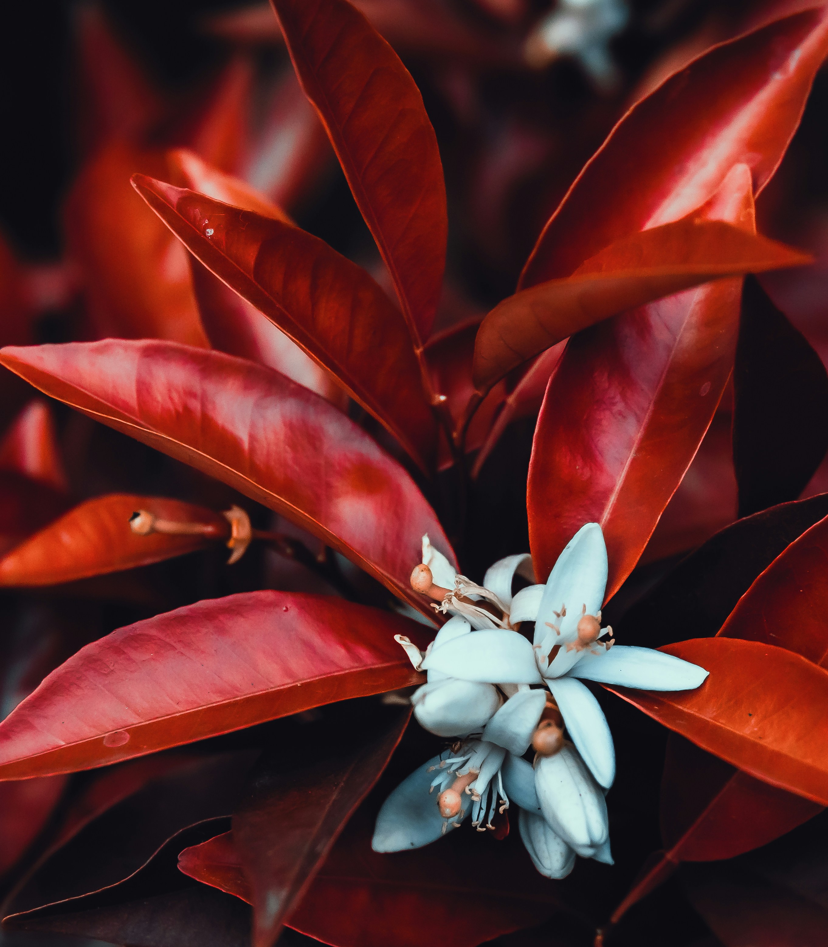 Photo by nature_of_the_experiment