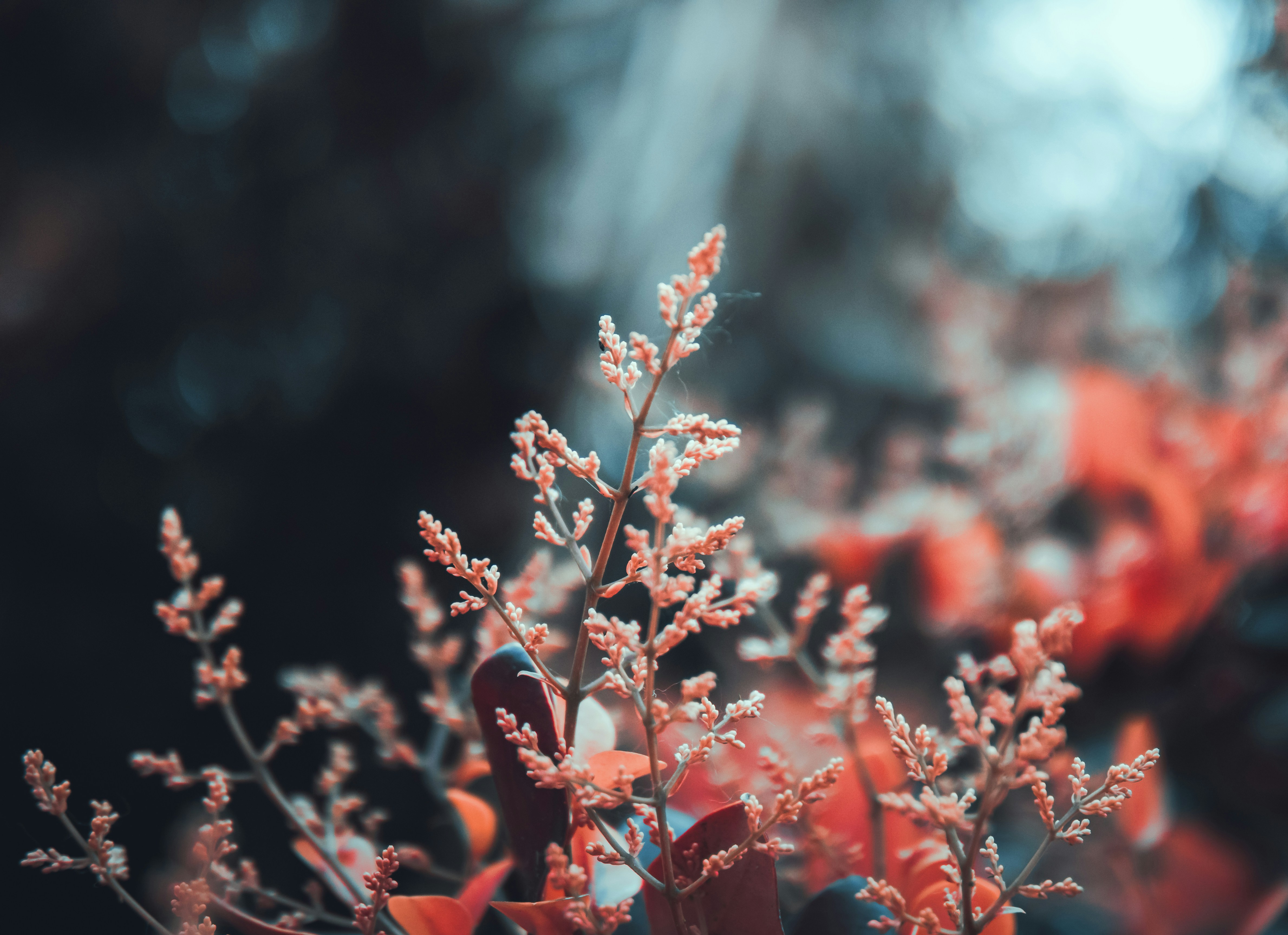 Photo by nature_of_the_experiment