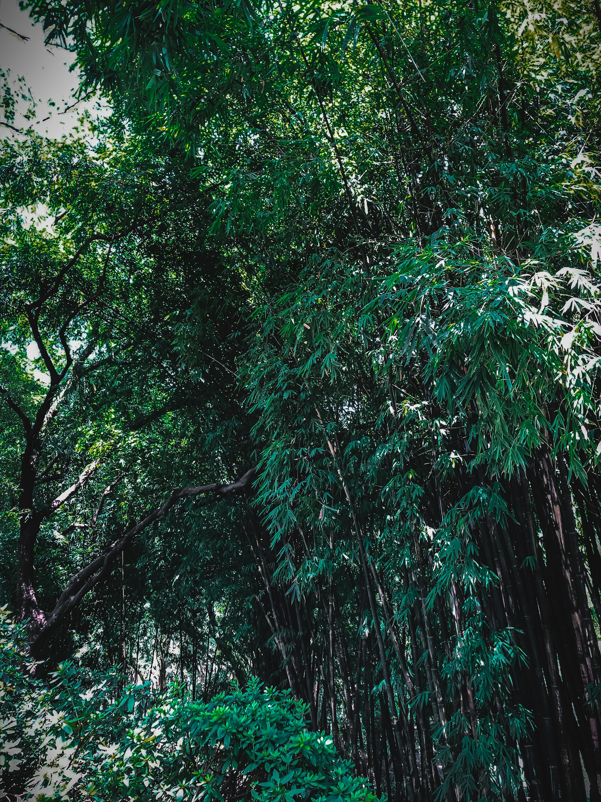black and white bed linen