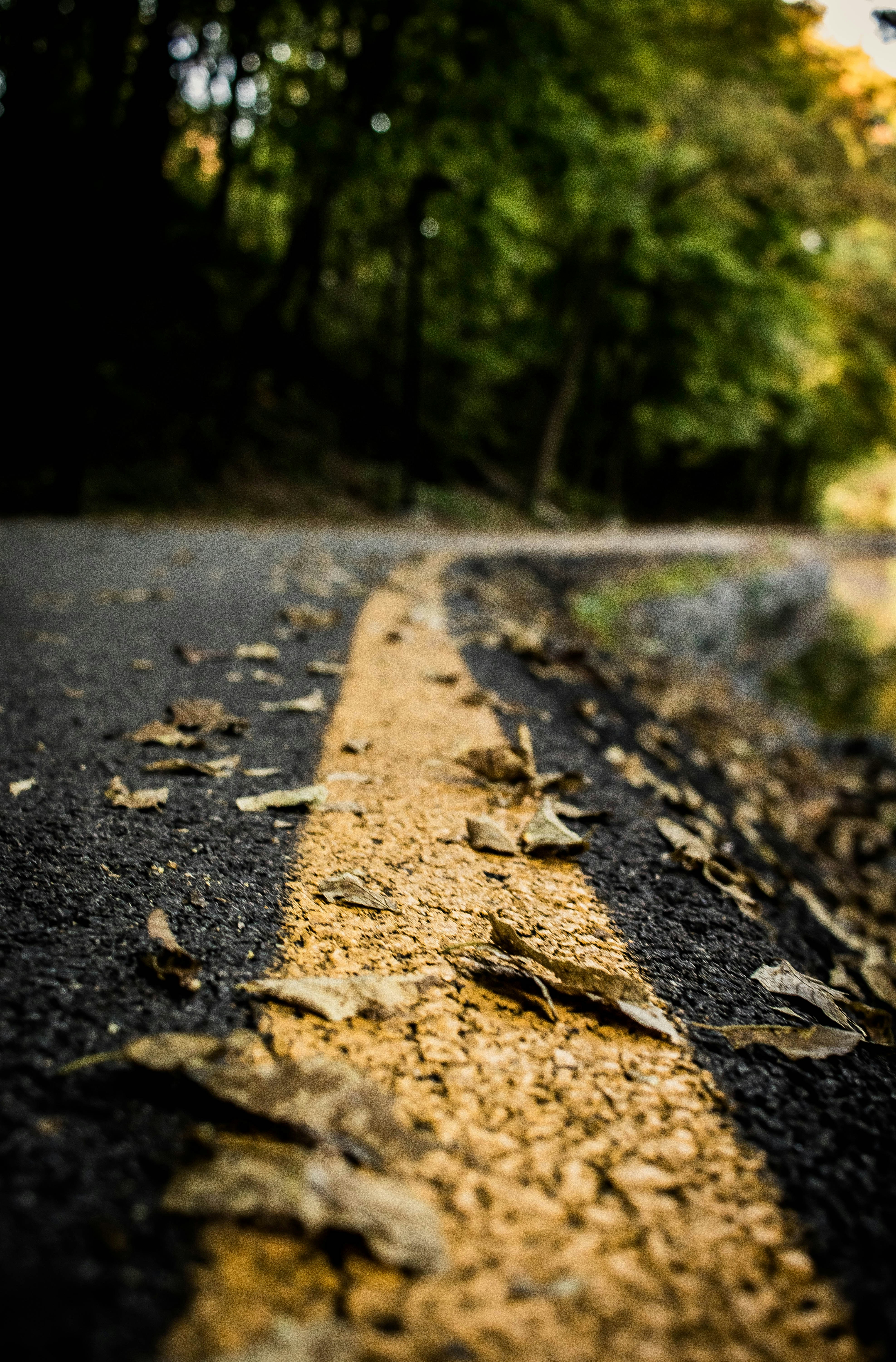 Photo by chrislevn07