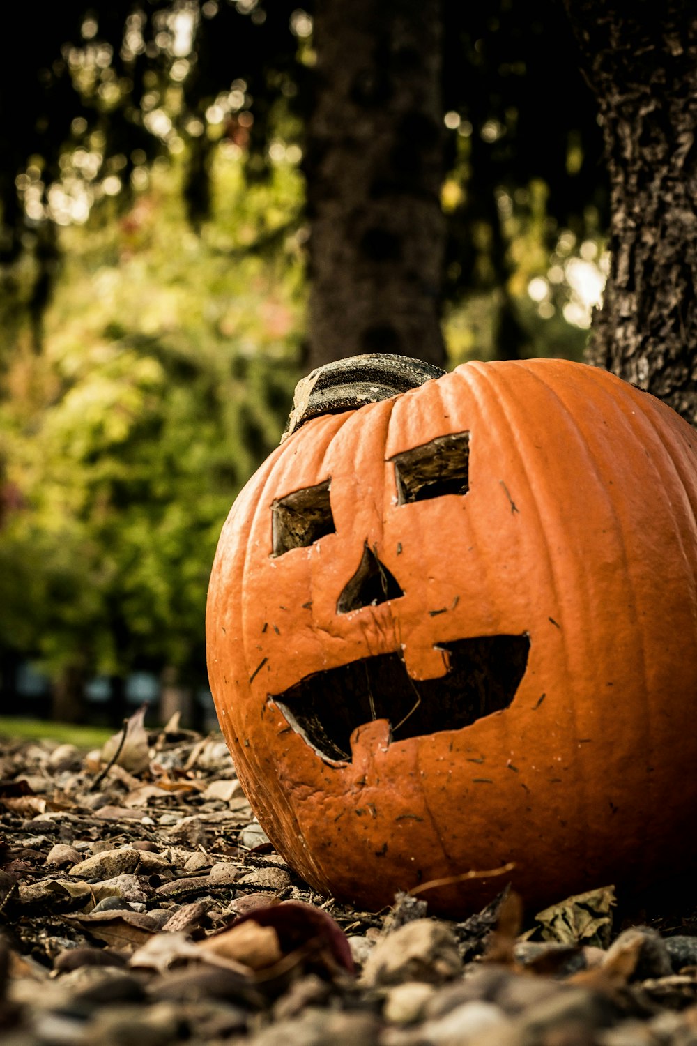 jack o lantern on ground