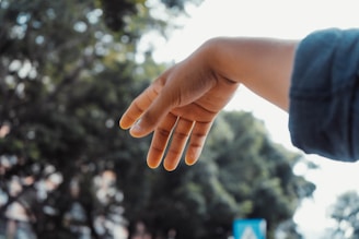 persons left hand with blue manicure