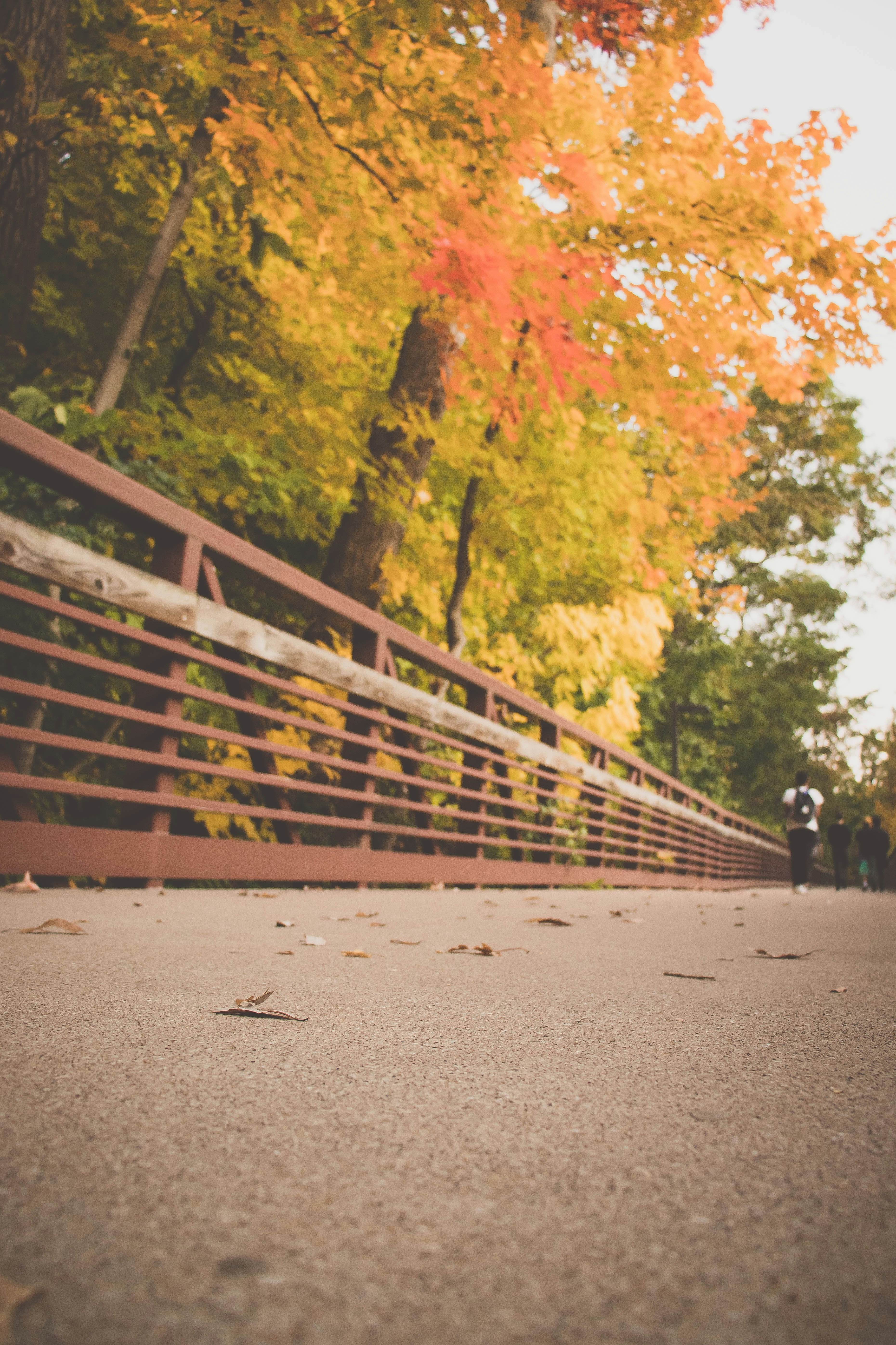 Photo by chrislevn07