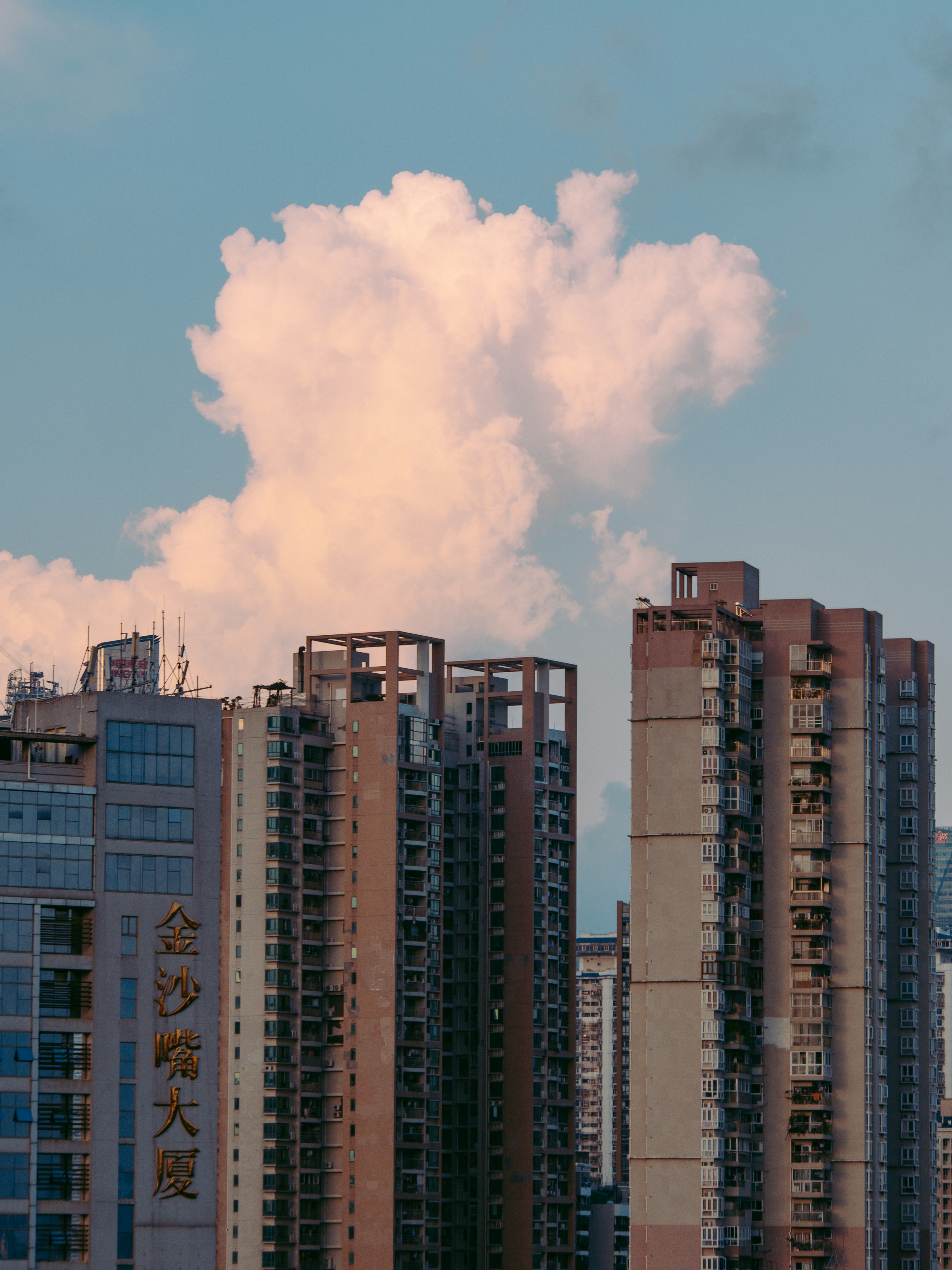 Photo by joshuafernandez