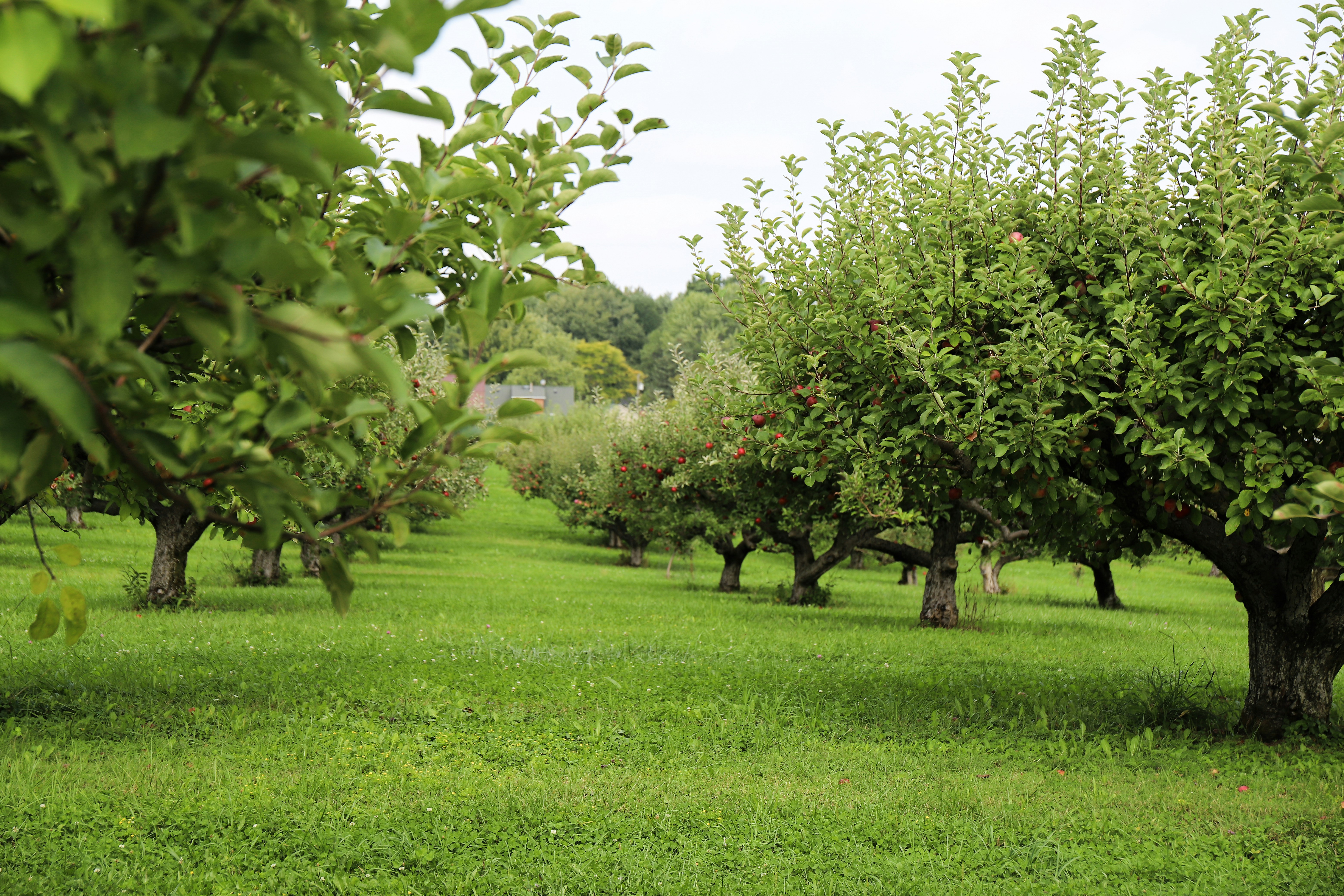 Photo by michaelbweidner