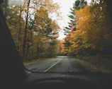 A scenic road winding through colorful autumn trees as seen from inside the minimotorhome.