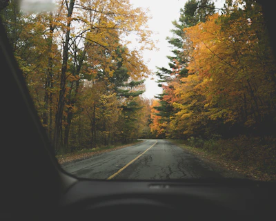A scenic road winding through colorful autumn trees as seen from inside the minimotorhome.