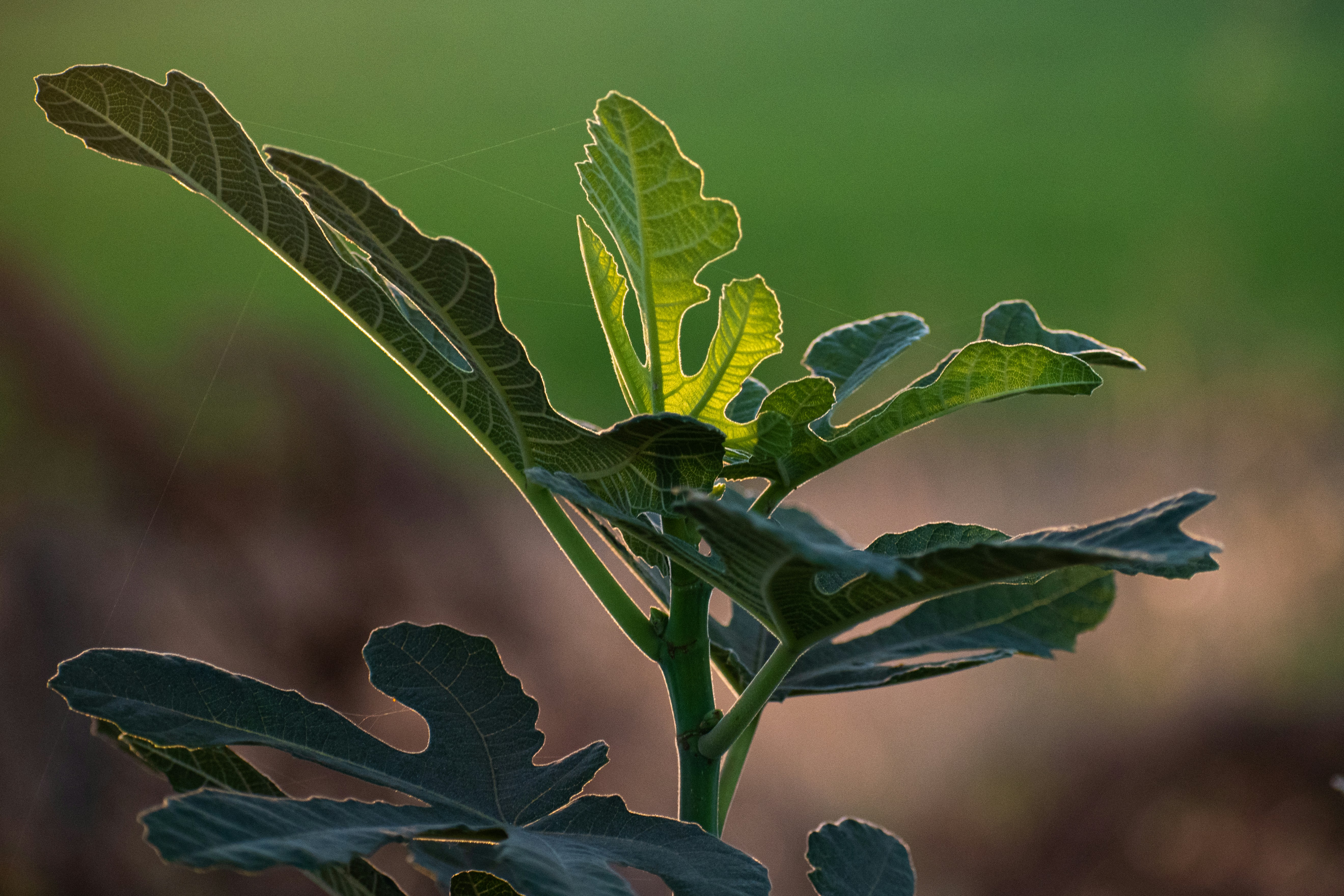 Photo by elisastonephotography