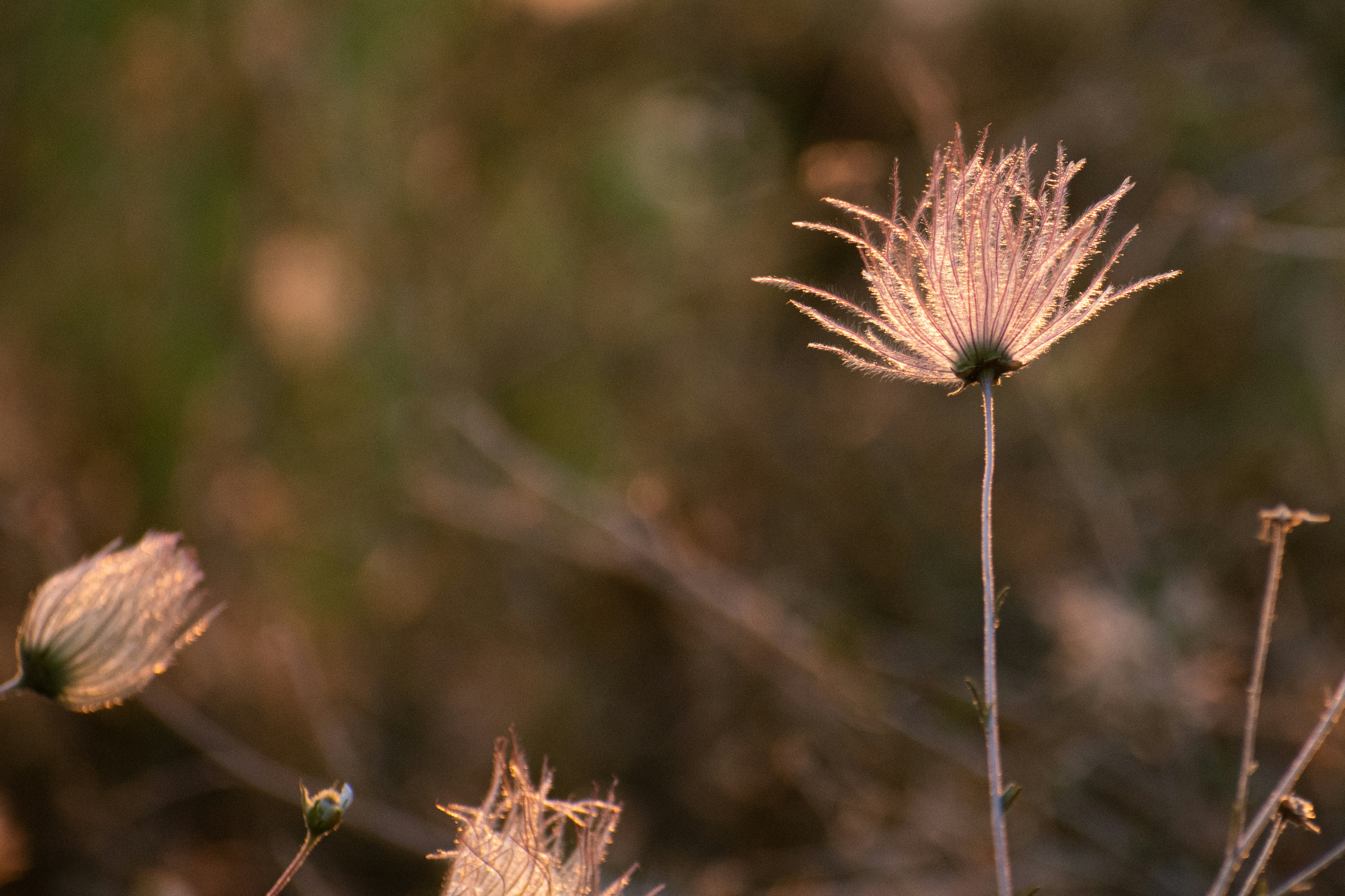 Photo by elisastonephotography